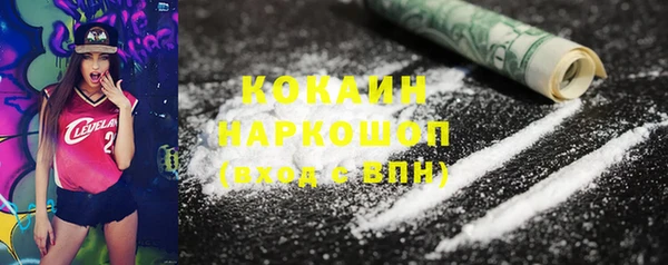 дживик Козельск