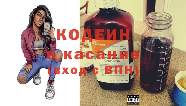 трава Корсаков