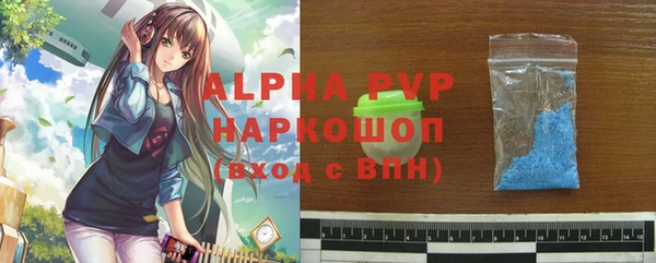 трава Корсаков
