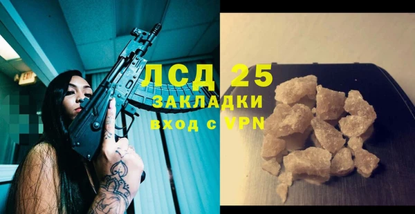 трава Корсаков