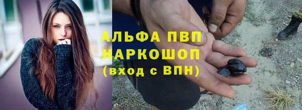 дживик Козельск