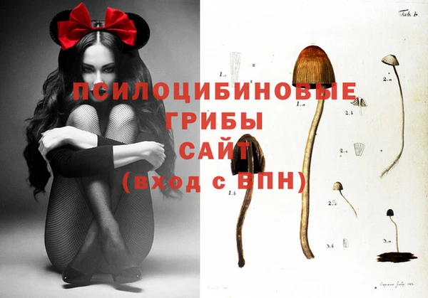 прущая мука Коряжма