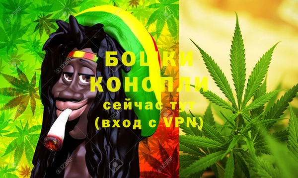 трава Корсаков