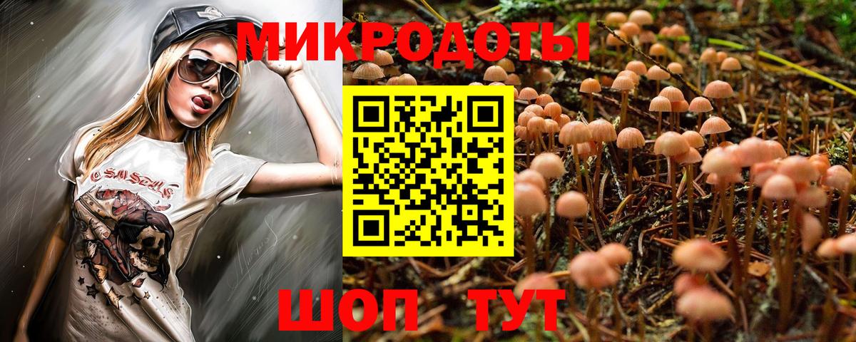 Галлюциногенные грибы MAGIC MUSHROOMS Кохма