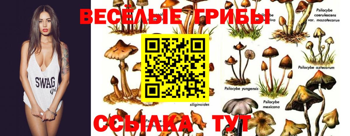 Псилоцибиновые грибы Cubensis  Вход с VPN  Галлюциногенные грибы ЛСД  Кохма 
